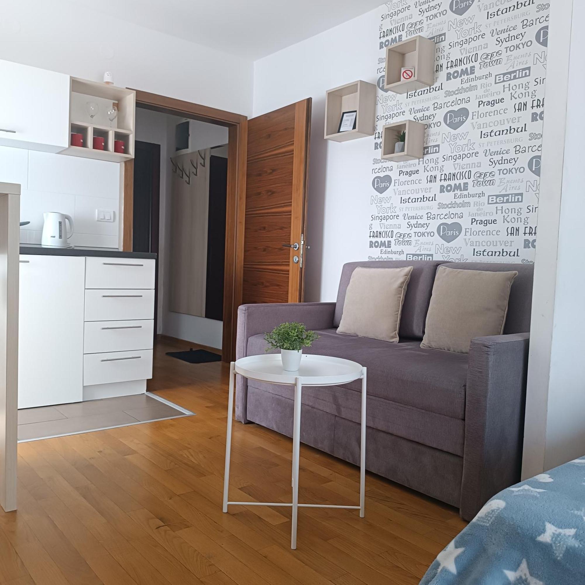 Apartments Karamarkovic Vrnjačka Banja Kamer foto